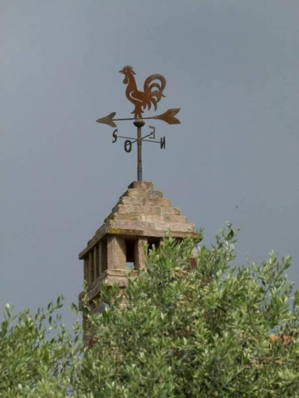 Agriturismo I Romiti Villa Castiglione del Lago Esterno foto